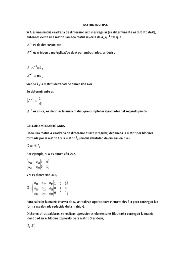 Ejemplo de Cálculo de Matriz Inversa | PDF | Matriz (Matemáticas ...
