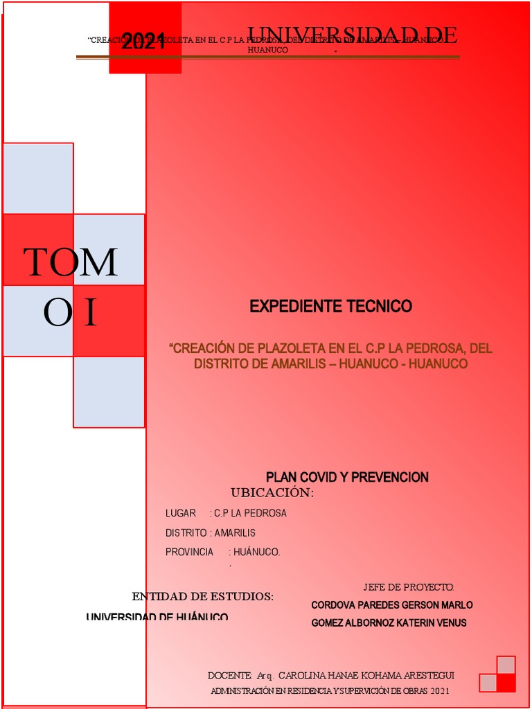 Plancovid 2021 | PDF | Lavado de manos | Ciencias de la Salud