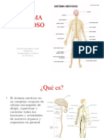 Sistema Nervioso