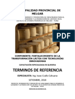 Terminos de Referencia Queseria Especializada