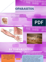 Ectoparásitos