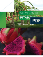 Manual de Siembra Pitahaya