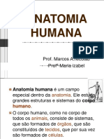 ANATOMIA HUMANA.Prof. Marcos A.Nicolau (1)