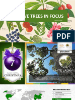 Native Trees in Focus: by Roniňo Gibe