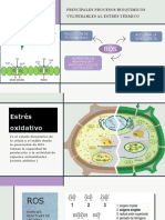 Principales Procesos Bioquimico