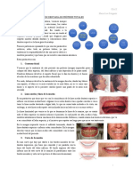 Selección y Articulación Dentaria en Prótesis Totales