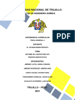 Informe de Laboratori N°1 - Presión Hidrostatica