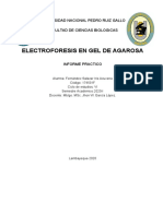 Electroforesis en Gel de Agarosa - Fernandez Salazar Iris Azucena