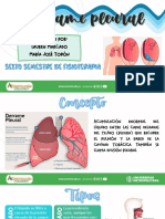 Exposición Derrame Pleural