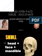 Head and Face Neck Anatomy