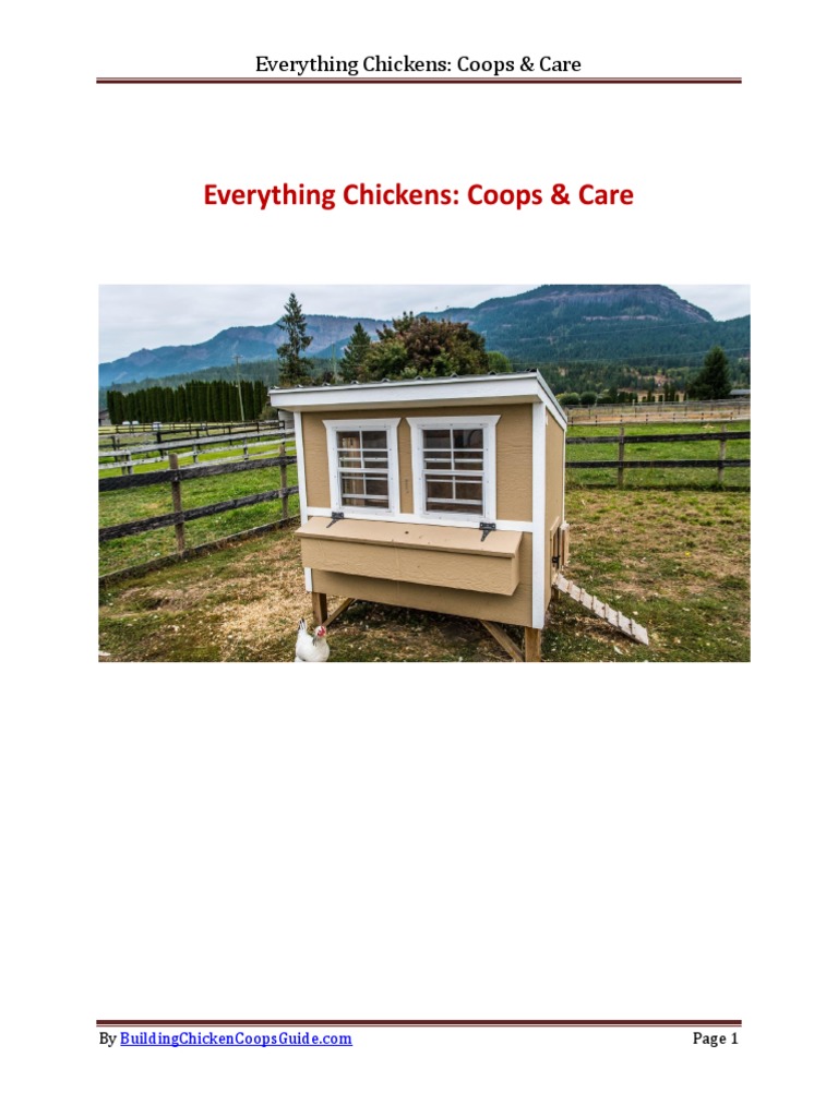 Everything Chickens Coops & Care PDF Chicken Egg As Food