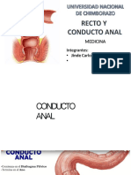 RECTO Y CONDUCTO ANAL EXPO ANATOMIA-convertido-comprimido