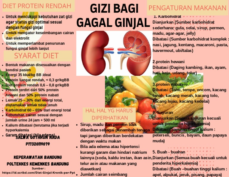 Leaflet Gagal Ginjal | PDF