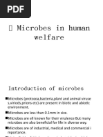 ? Microbes in-WPS Office