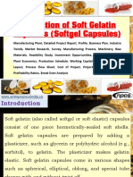Production of Soft Gelatin Capsules (Softgel Capsules)-633221