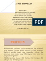 Metabolisme Protein