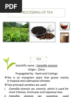 Processingoftea Bibi 171029145347