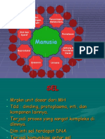 Anatomi Histologi Dan Topografi Pertemuan 1