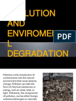 Pollution and Enviromental Degradation