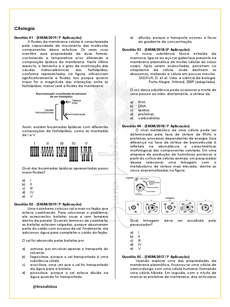 Questões de Citologia para o ENEM | PDF | Célula (Biologia) | Organelo