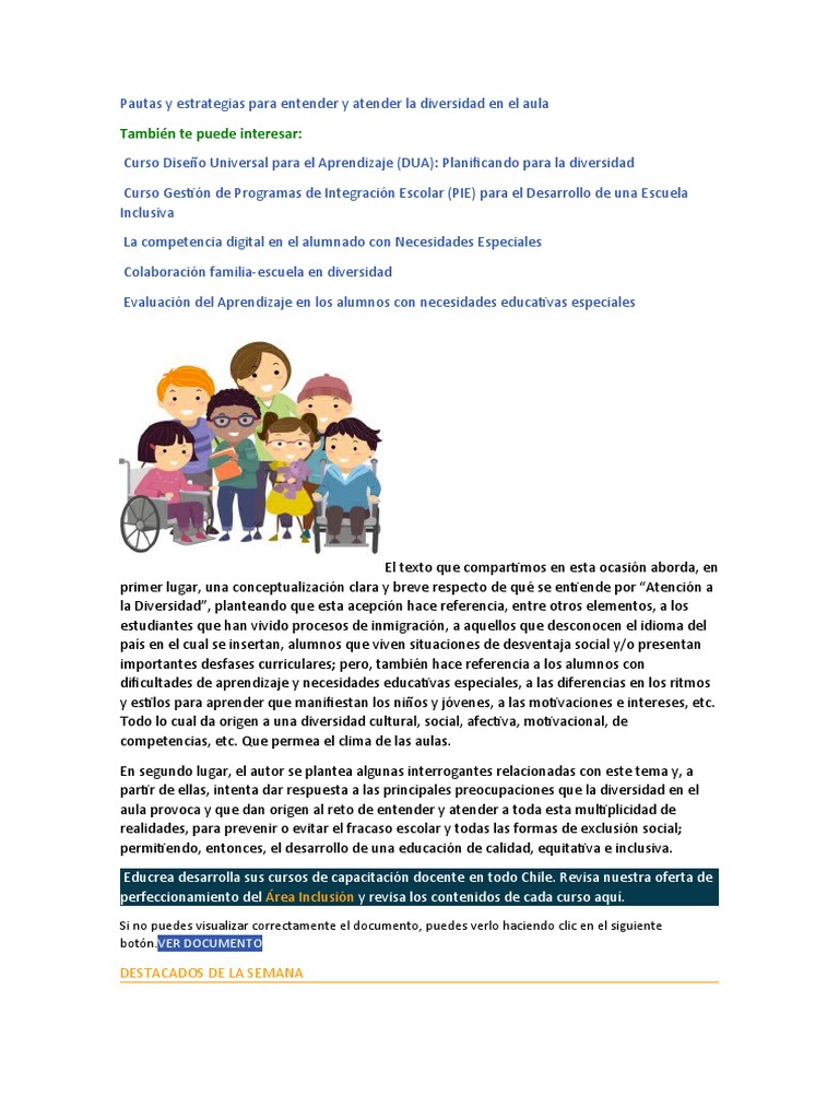 Pautas y Estrategias para Entender y Atender La Diversidad en El Aula ...
