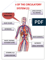 Circulatory System Lab