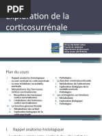 Comprendre l'hypercorticisme | PDF | Cortisol | Système endocrinien