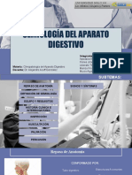 1.1 Semiología Del Aparato Digestivo - Equipo1