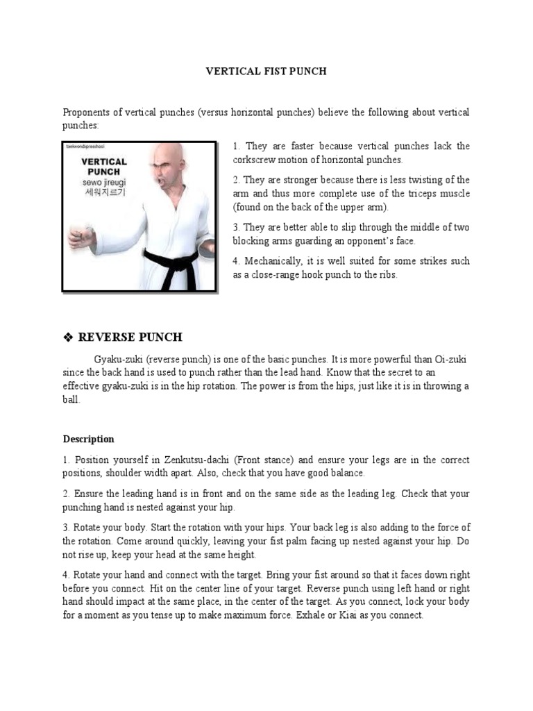 Understanding Vertical Fist Punches | PDF