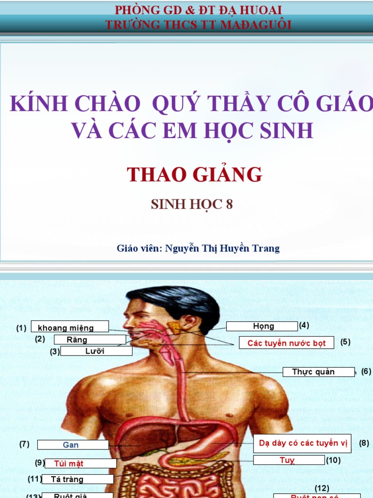 Bai giang powerpoint sinh hoc 8 bai 25 tieu hoa o khoang mieng pdf