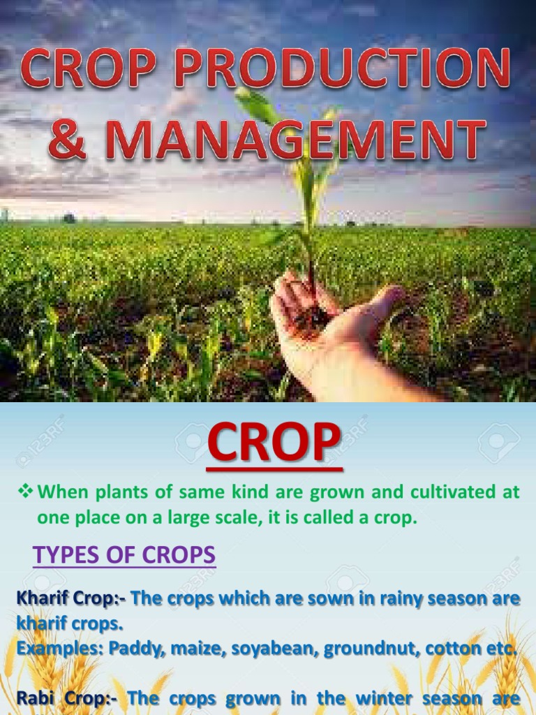 An Overview of Key Crop Production Practices in India Seasonal Crops
