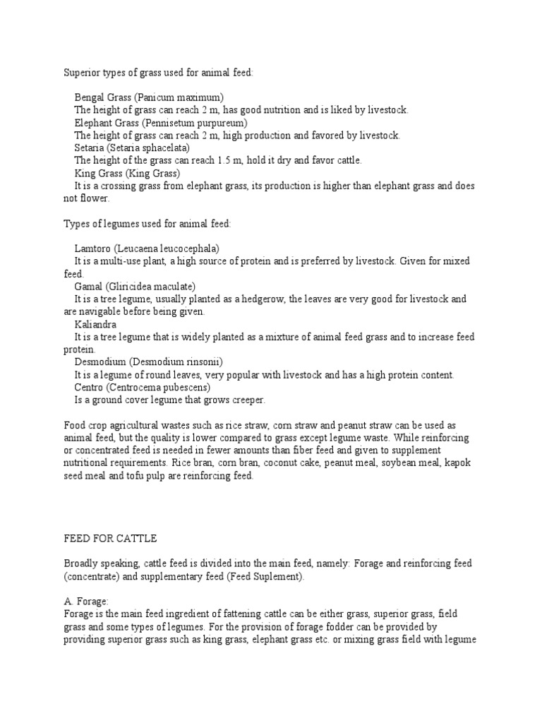 Superior Types of Grass Used For Animal Feed PDF Animal Feed Fodder