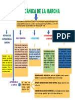 Biomecanica de La Marcha Ccy