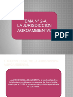 Dcho Procesal Tema 2-A