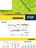 Clase-4-Biomoléculas-Proteínas-Enzimas