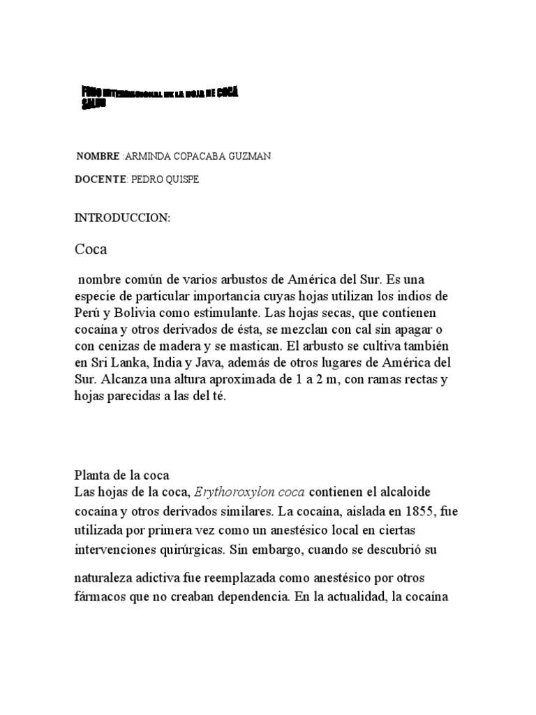 La importancia nutricional y cultural de la hoja de coca PDF Cocaína