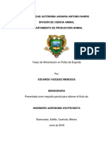 Fases de Alimentación en Pollos de Engorda