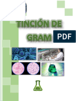 Informe N° 3 MICROBIOLOGIA-TINCION DE GRAM