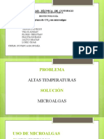 Microalgas Presenta