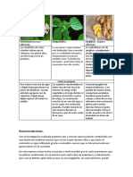 Valeriana, ortiga y jengibre, plantas medicinales