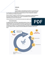 Proyecto avícoladsadas