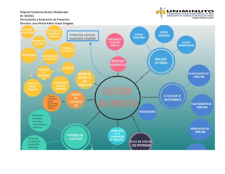 Mapa Mental Cap. 1 (MS2) Formulacion y Evaluacion de Proyectos | PDF