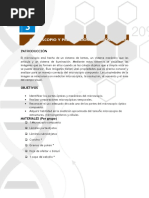 3° Taller de Laboratorio Microscopio y Preparaciones