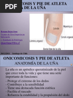 Anatomía de La Uña y Sus Partes | PDF | Clavo (anatomía) | Sistema ...