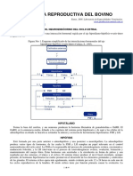 71-Fisiologia Reproductiva Del Bovino