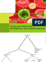 Praktikum Mikrobiologi