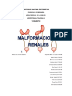 Malformaciones Renales