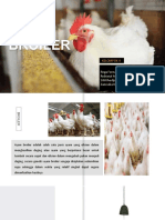 Ayam Broiler - Kelompok 4 - MAB C P2