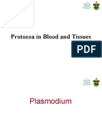 Protozoa in Blood and Tissues