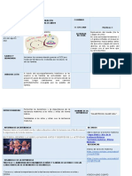 PLANEACION Practica 1. 2021 Agosto 2 AL 6 